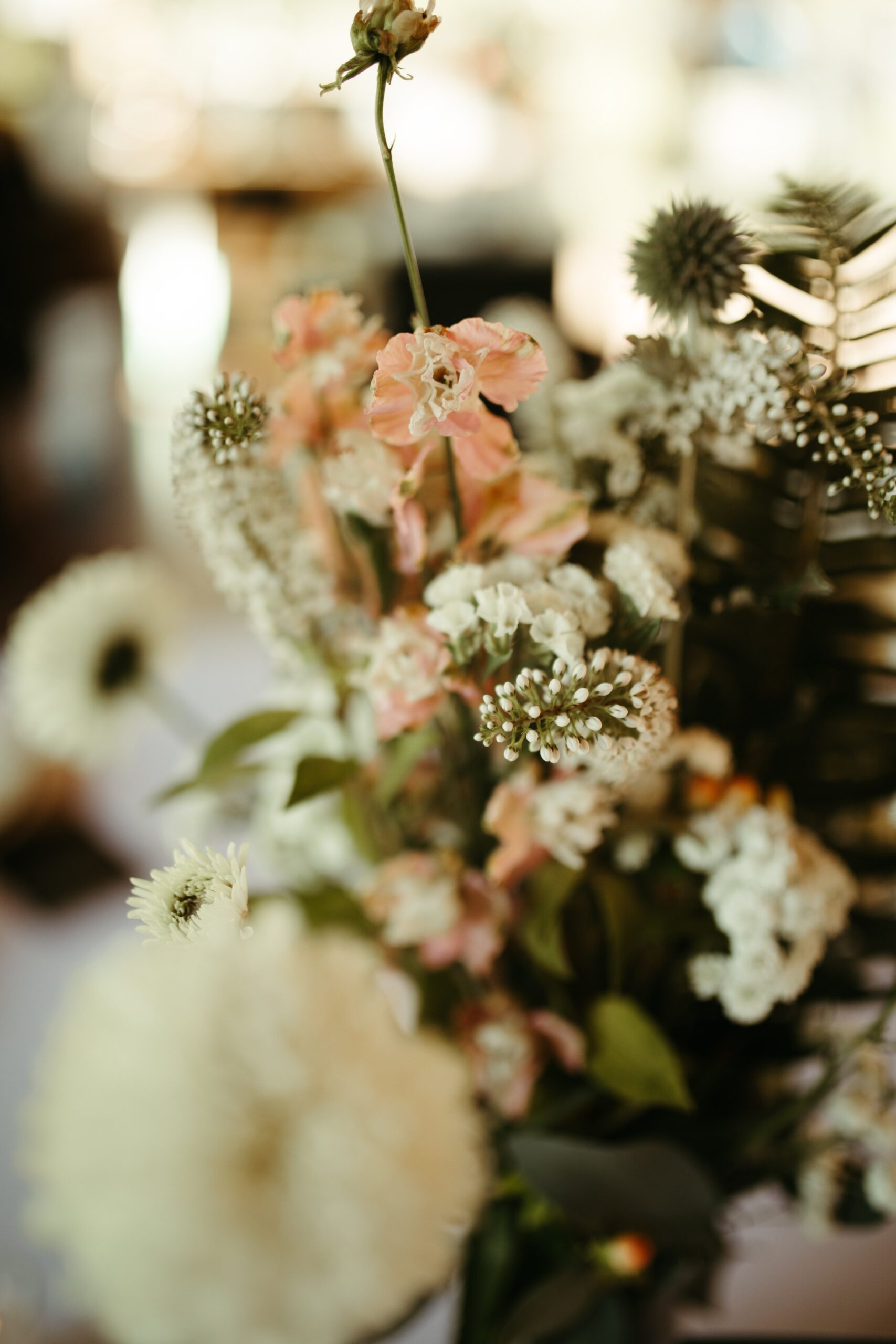 Jeff+Anna_WEB (111 of 241).jpg