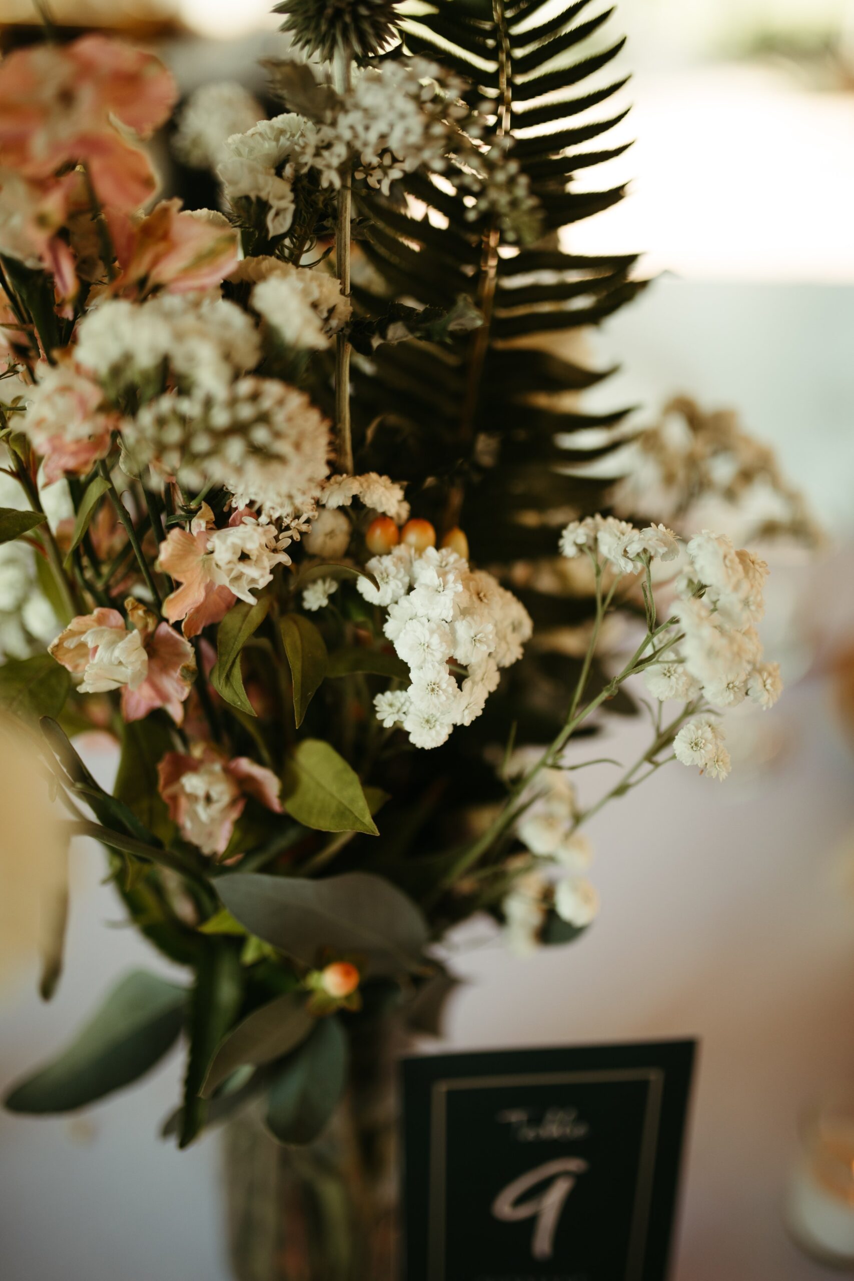 Jeff+Anna_WEB (112 of 241).jpg