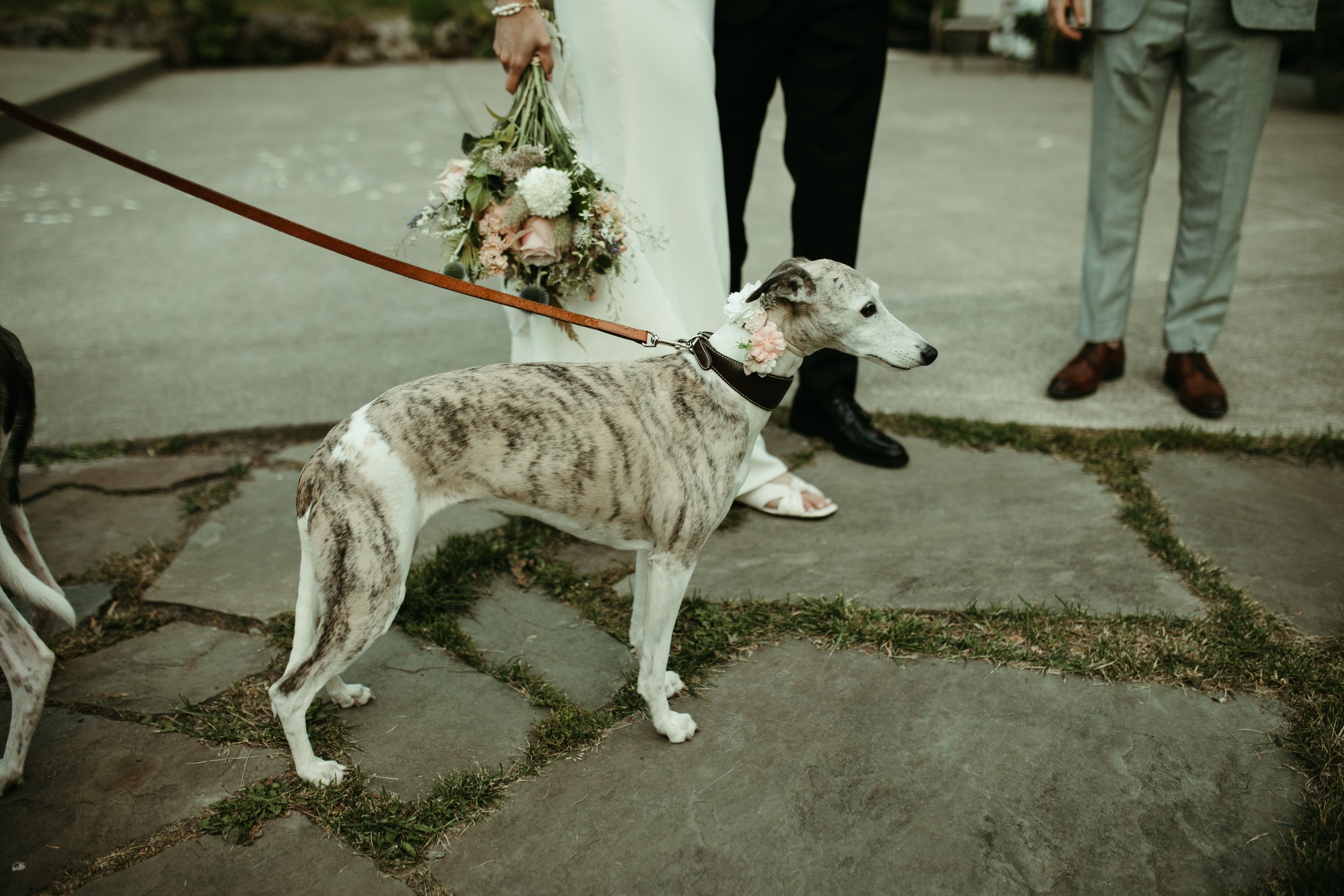 Jeff+Anna_WEB (208 of 241).jpg