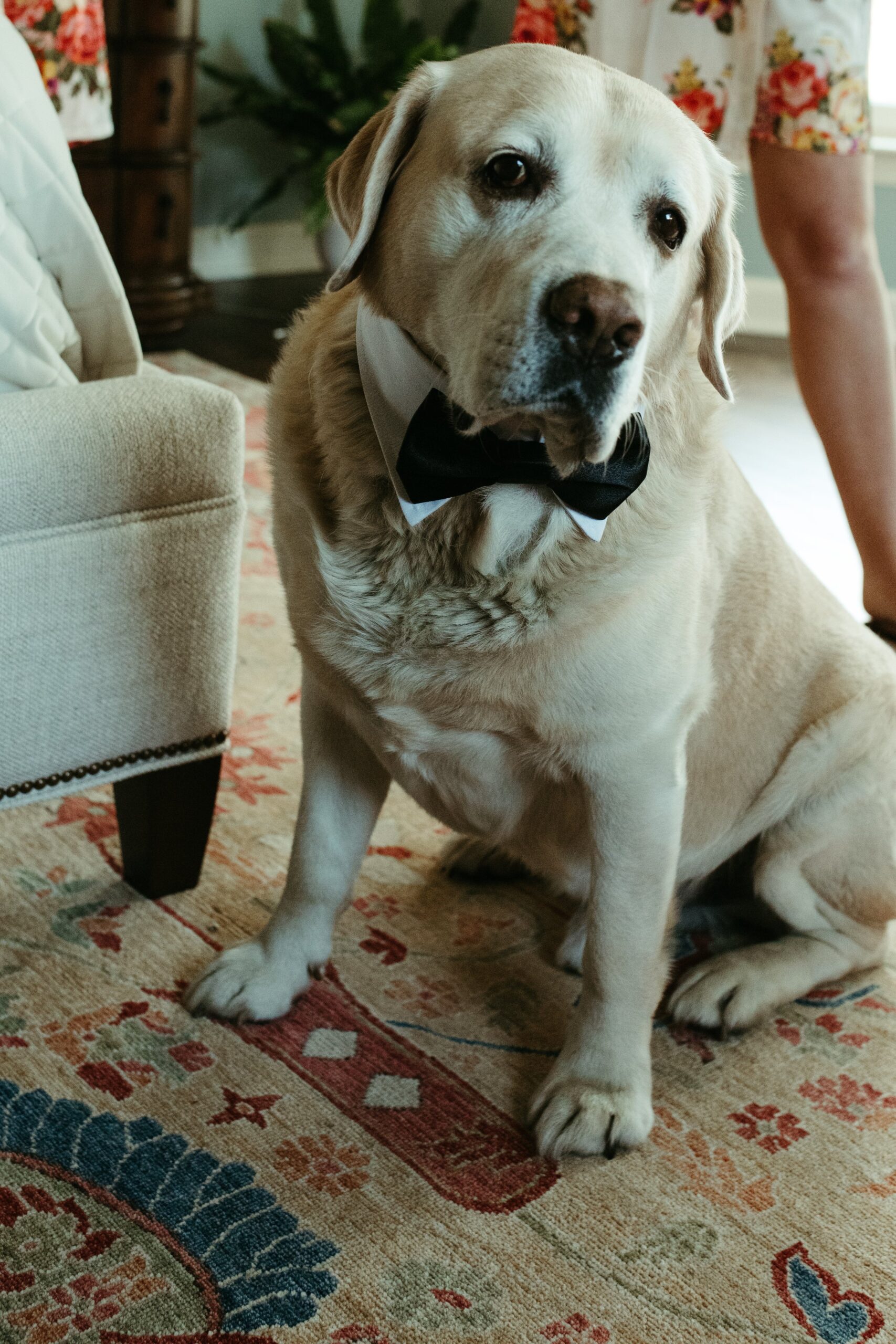 Jamie+John_WEB1 (70 of 185).jpg