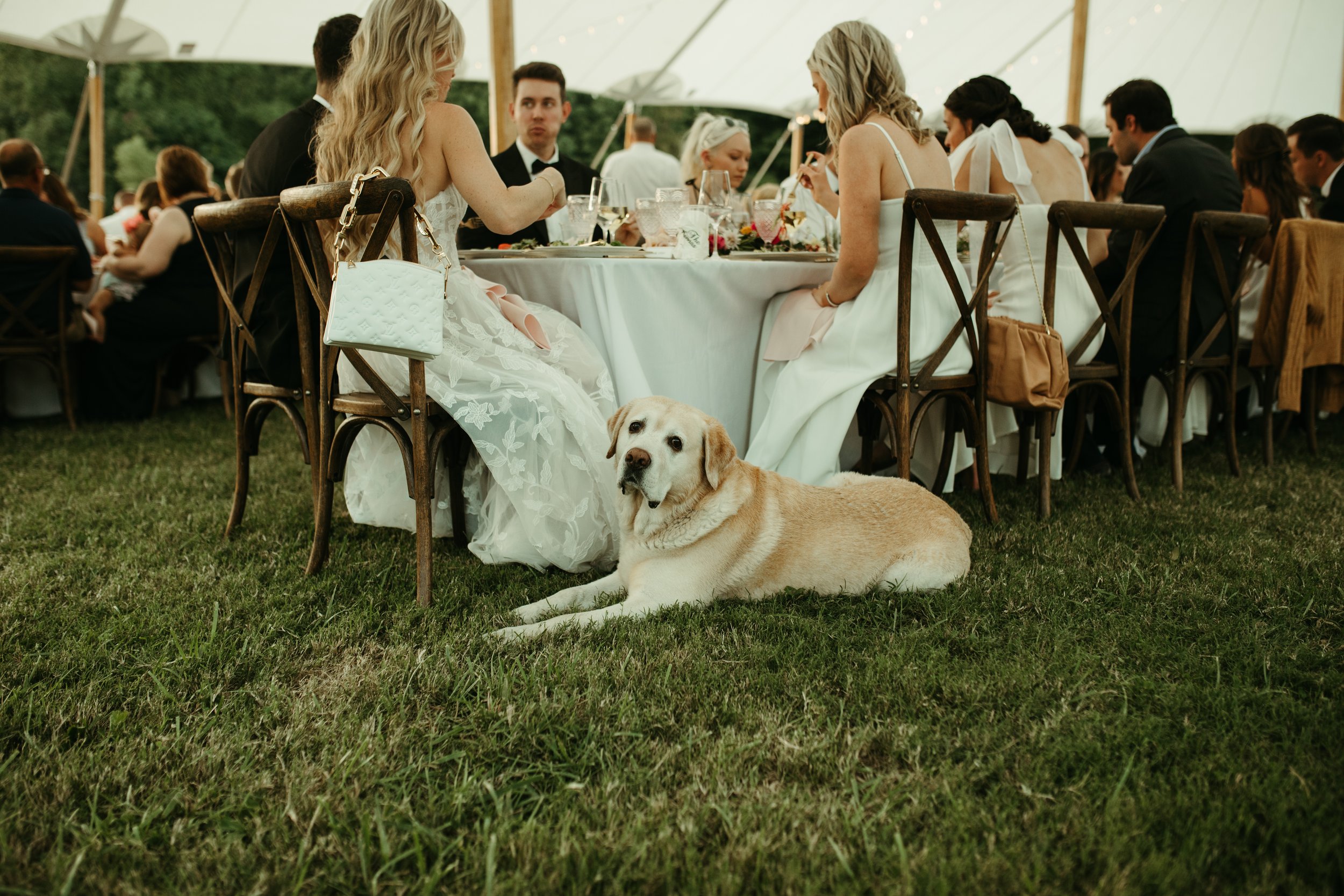 Jamie+John_WEB2 (23 of 71).jpg